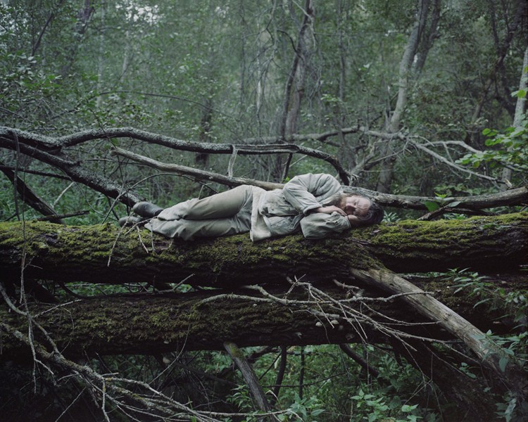 Отшельник, спящий на дереве